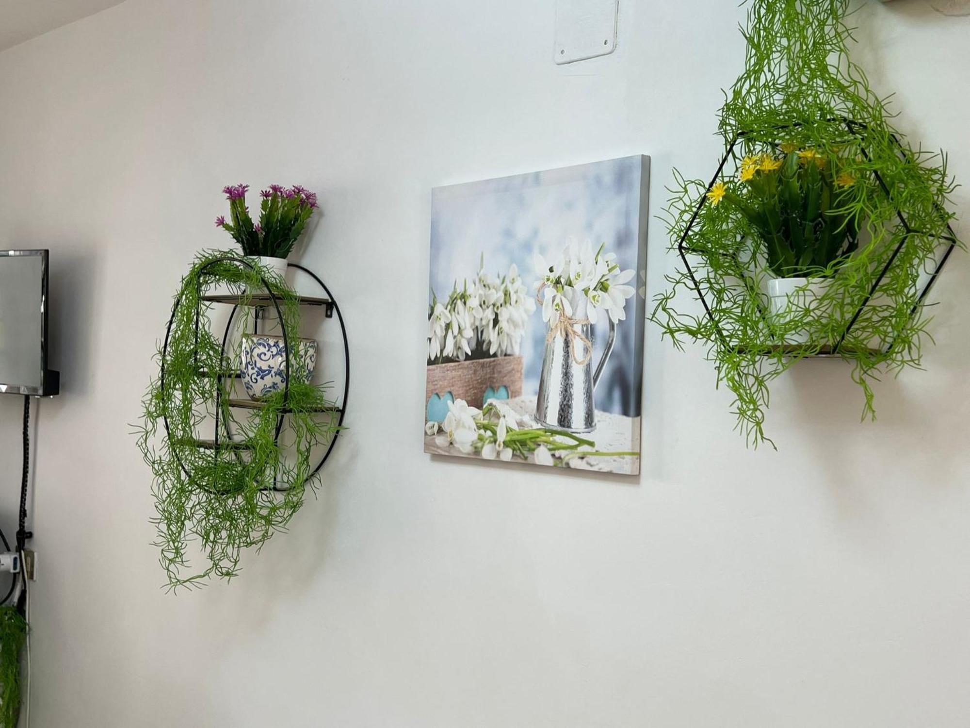 シッラ The Mistral Bed & Breakfast エクステリア 写真